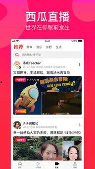 娱乐吃瓜酱摆摊视频下载